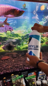 OXYLIFE 1 Liter Bakteri Starter Fotosintesis penjernih air Aquarium & Kolam