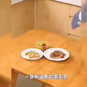 K1216 Foldable Dish Cover Nice Time Meal Table Cover Folding Dustproof Hot Dish Kitchen Household 可折叠盖菜罩 (大号）