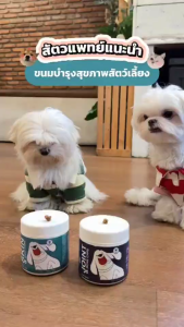 12.12 2กระปุก Gentle Paws ขนมสุนัข สูตรบำรุงผิวหนังและขน รสไก่ & ขนมสุนัข สูตรบำรุงกระดูกและข้อต่อ รสเป็ด แถม1choco joy