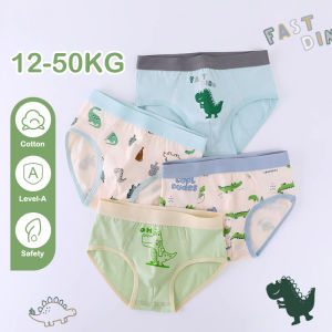 KUCHAR 3PCS Cartoon Animals Teenage Boy Boxers Underwear for 2-12 Years Cotton Children Panties