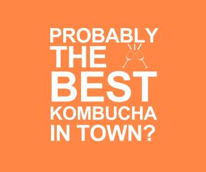 Releaf Black Tea Kombucha 24 in 1 Bundle - Black Tea Kombucha (300ml) x 24 bottles