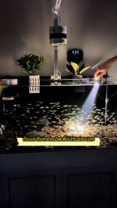 3 สี โคมไฟตู้ปลา LED ไฟเลี้ยงตู้ปลา ซูมได้ กันน้ํา สําหรับตกแต่งตู้ปลา การหมุน 360° การหรี่แสง