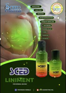 SCED Liniment Oil (30ml) Buy 12 bottles with free 1 bottles 30ml