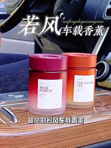PISSA | Long-lasting Scented Car Fragrance Air Purifying Odor Elimination