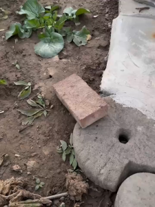 (คมชัดมาก)2in1-60cmเคียวเหล็กแมงกานีส มีดหวด มีดดายหญ้า มีดทำสวน ด้ามเหล็ก ตัดต้นไม้ ตัดไม้ไผ่ พร้อมส่ง