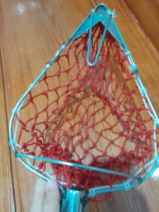 vợt hái trái cây.hái xoài bơ...