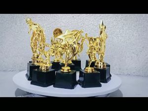 22cm Five Star Trophy For Awards Plastic Gold Trophy