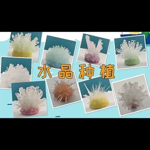 TAIYO Mainan Anak STEM: Batu Kristal Sains & Eksperimen Seru