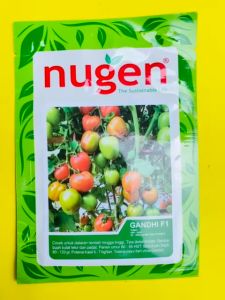 Benih Tomat GANDHI F1 isi 5gr dari NUGEN joss tenan