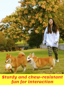 Durable Dog Ball Toy Bite Resistant Interactive Play Comes with Air Pump 15cm Size For Small/Medium Dogs Reduce Boredom & Destructive Behavior 狗狗玩具 狗球