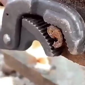 14Pcs Damaged Nut Remover Set Impact Socket Reverse Spiral Flute Extractor Tool Frozen Rusted Rounded-Off Screw Bolt Removing