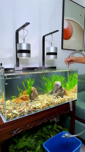 เครื่องเปลี่ยนน้ำตู้ปลา เครื่องดูดน้ำ เครื่องเปลี่ยนน้ำแบบถอดได้ ถ้วยดูดอุจจาระปลา แรงดูดสูง 170 ซม.