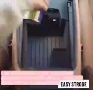 260ML Silver Ion Car Deodorizer & Sterilizer: A Comprehensive Guide