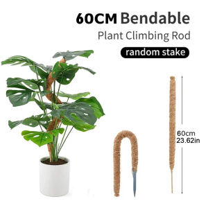 Bendable Plants Climbing Support Plant Moss Coir Pole Bottom Climbing Bracket Deformed Coconut Palm Stick Plant Climbing Support