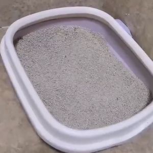 Hạt Khử Mùi Cát Vệ Sinh Cho Chó Mèo Than Hoạt Tính Chai 300g