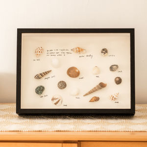 Modern Minimalist Square Shell Seashell DIY Sample Box Handmade Memorial Photo Frame Home Decorations Artificial Board