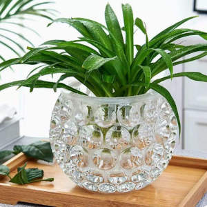 Thickened Simple Crystal Glass Flower Vase Transparent Green Ivy Hydroponics Plant Pot round Shape Water Cultivation Container Decorative Piece