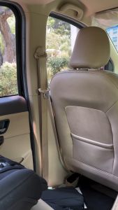 Babygo Inc Carseat Organizer