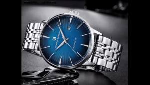 Pagani Design | PAGANI DESIGN Mens Watch Fashion Sports Luxury Mens Stainless Steel Automatic Mechanical Business Watch