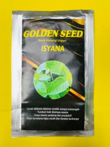 Benih Kemangi Unggul ISYANA Golden Seed kemasan 10gram KEMANGI WANGI