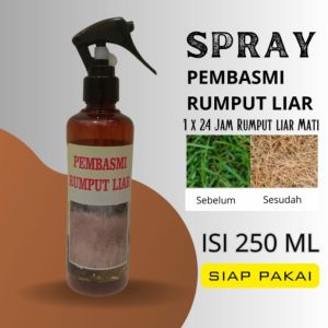 Spray Racun Rumput Liar Spray Pembasmi Rumput Liar Isi 250 ml
