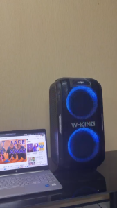 ลำโพง W-King T9 Pro ล่าสุด 100W รุ่นใหม่ บลูทูธ ไฟ LED และ ไมค์โครโฟน 2 อัน รีโมต