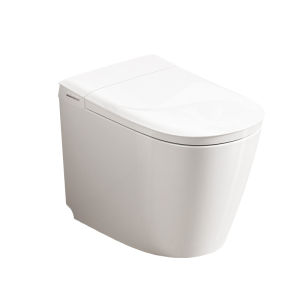 RIIFO | Automatic Intelligent Toilet Bidet Home Use
