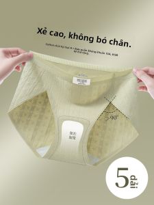 YUNASHA | Quần Lót Bông Chống Khuẩn无缝防卡臀