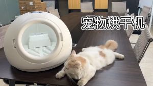 MeowLo Pet Drying Box Automatic cat dryer box Household water blowing machine hair dryer box Smart Mute Deodor Cat Dog