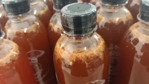 เชื้อเห็ดโคนปลวก เห็ดปลวก ดอกใหญ่ แพ๊คคู่ 2 ขวด ขนาด 500 ML. เฉพาะโปร