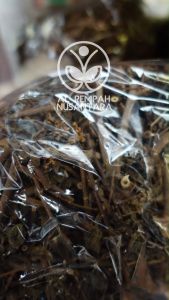 Daun Beluntas Kering Organik 250gr Asli Hutan