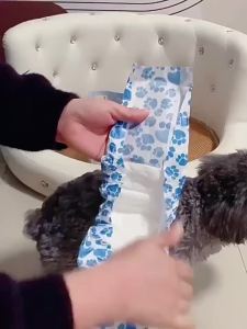 Dono | Small Dog Diaper Hygienic Pant Disposable Underwear