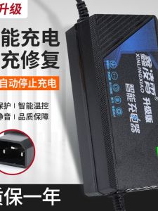 Xinlingxiao Electric Vehicle Charger for 9 Series N30/B30CB90N70CN80C48V12AH60V72V20AH Lead Acid And Lithium Battery Compatible