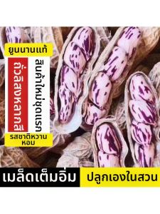 Colorful Shell-On Roasted Peanuts Wet Bake