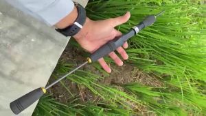 Set Handle Joran Busa Eva BC dan Spinning Custom