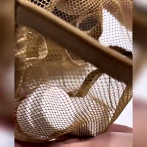 Handheld Toilet bag Trave  Storage Bag Portable cosmetic bag Draining Fiber Mesh Travel Cosmetic Makeup Bag Wash Bag 洗漱袋