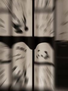 Bathroom Shower Curtain Screen Panel Bathroom Shower Curtain Toilet Waterproof Partition Shower Curtain Waterproof and Mildew-Proof Shower Curtain Cloth Curtain 浴帘