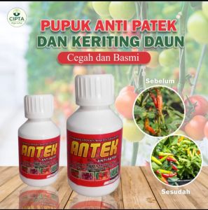PUPUK ANTEK ANTI PATEK ANTI KERITING DAUN BERGARANSI