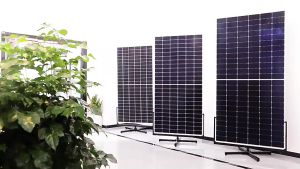 【A+ Glass】100 Watts Solar Panel Full Power Monocrystalline Silicon Solar Panel 18V Solar Panel 0 electricity bill