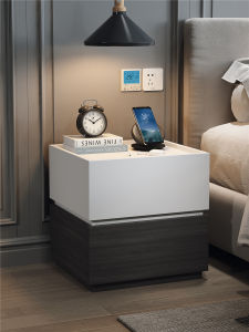 โมดอล 2024 ใหม่ ตู้เก็บของขนาดเล็กแบบชั้นวางของสไตล์เรียบง่ายและหรูหรา สำหรับห้องนอน ตู้เสื้อผ้าแบบมีโครงสร้าง