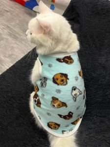 Adorable Cartoon Cat Clothes Thickened Flannel Anti-shedding Hairless Vest Style Winter Warm Pet Clothing for Kittens