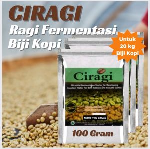 CIRAGI Ragi Fermentasi Biji Kopi Robusta Arabica