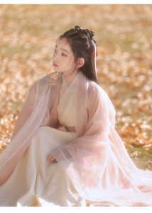 Pink Hanfu Girls Summer 2025 New Style Wei Jin Style Northern And Southern Dynasties Wide Sleeve Fairy Atmosphere Flowing Fairy Skirt