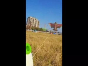 Nurm Eagle Kite Novelty Animal Kites Outdoor Beach Garden Sport Games