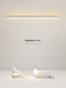 Minimalist Creative LED Ceiling Light