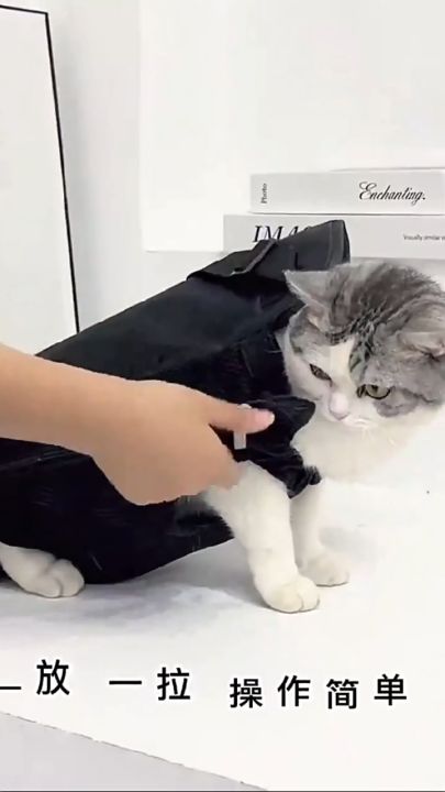 CT Pet dog Carrier Bag Front Back Carrier Outdoor Travel cat Carrier  Puppy Kitten Carrier Cute Bag