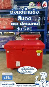 ถังน้ำแข็ง ถังแช่น้ำแข็ง ตราฉลามS.P.E เกรดเอ ขนาด40-800ลิตร ถังเก็บความเย็น ถังเก็บน้ำแข็ง ถังแช่อเนกประสงค์ Ice box