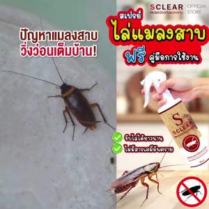 ไล่แมลงสาบ SCLEAR สเปรย์ไล่แมลงสาบ ใช้งานง่าย ไม่ทำร้ายสัตว์และผู้ใช้ ขับไล่แมลงสาบยาวนาน ส่งทุกวัน