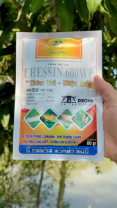 Thuốc Trừ Sâu CHESSIN 600WP Msp Tiêu Trĩ – Diệt Rầy – Diệt Sạch Trứng Con Non Con Trưởng Thành Rầy Nào Cũng Chết Không Còn Chích Hút (Gói 80Gr)