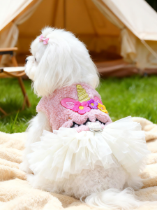 Thickened Warm Pull Rope Princess Skirt Dog Clothes for Small Dogs And Kittens in Autumn And Winter Cute Bichon Puppy Harness